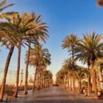 Grupo Marthe | Autotaller y alquiler de coches, furgonetas y camiones en el Maresme | Cómo elegir el vehículo de mercancías adecuado para tu negocio en 5 pasos